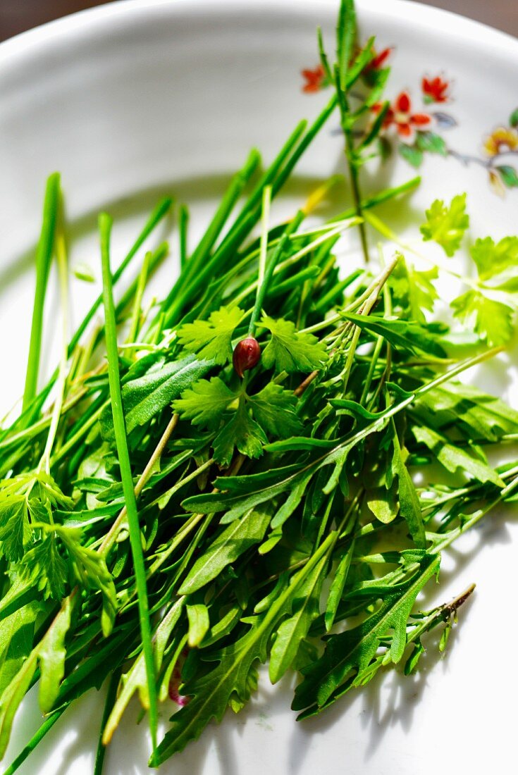 Various fresh herbs on a plate