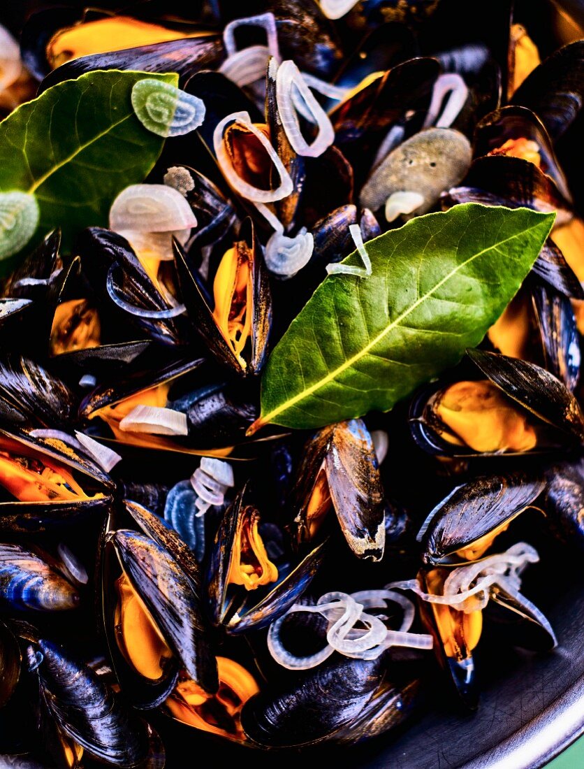 Mussels with onions and a bay leaf (close-up)