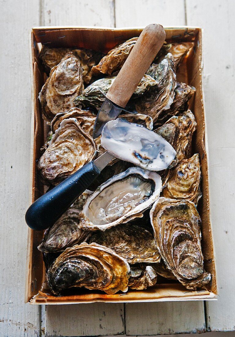 Fresh oysters (Marennes D'Oleron) with a knife in a basket