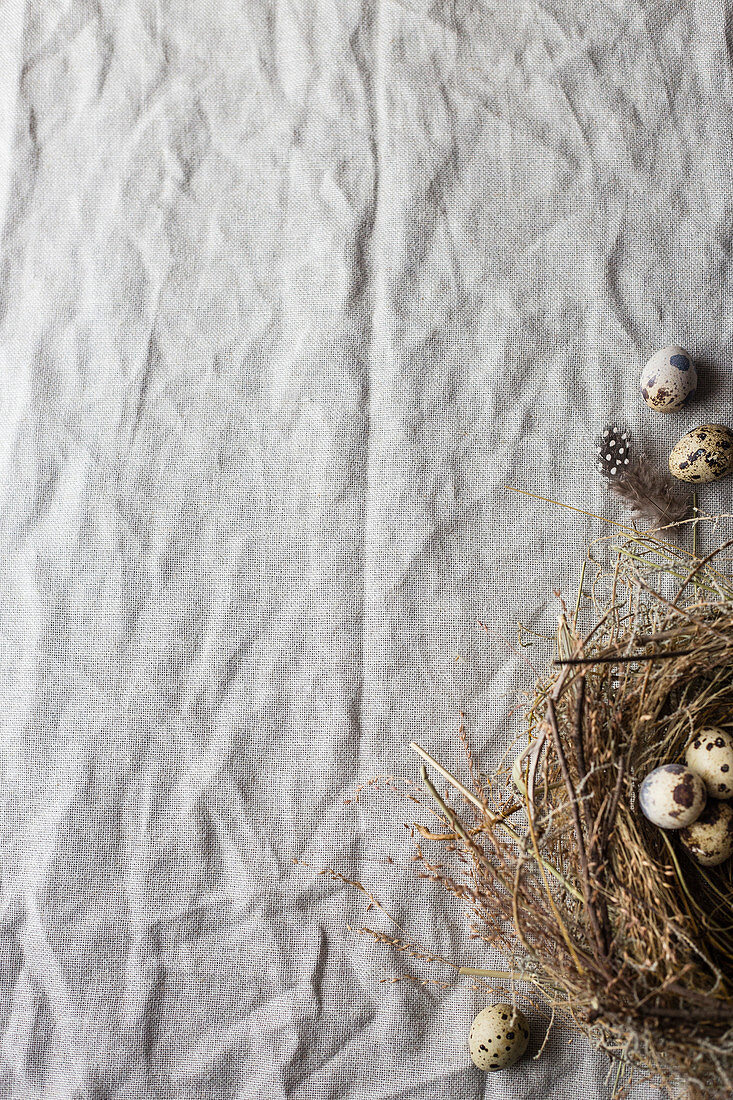 A nest with speckled quail eggs on a linen cloth (top view)