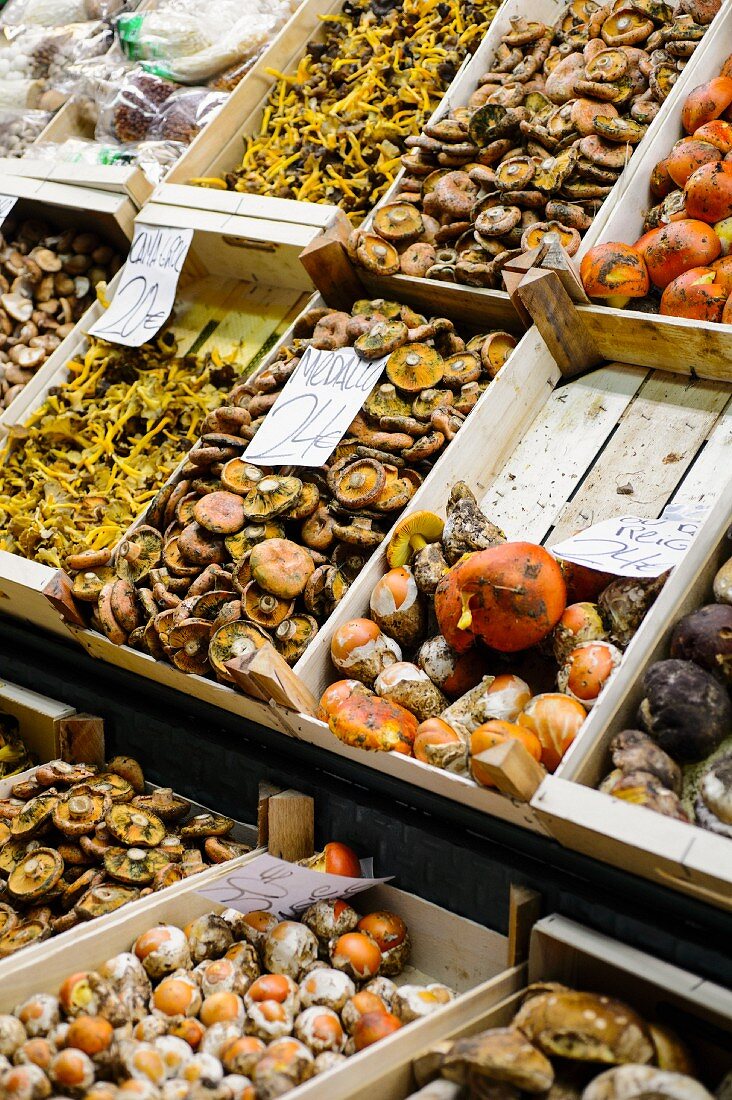 Verschiedene Pilze in Steigen auf dem La Boqueria-Markt im Ciutat Vella Viertel von Barcelona, ??Katalonien, Spanien
