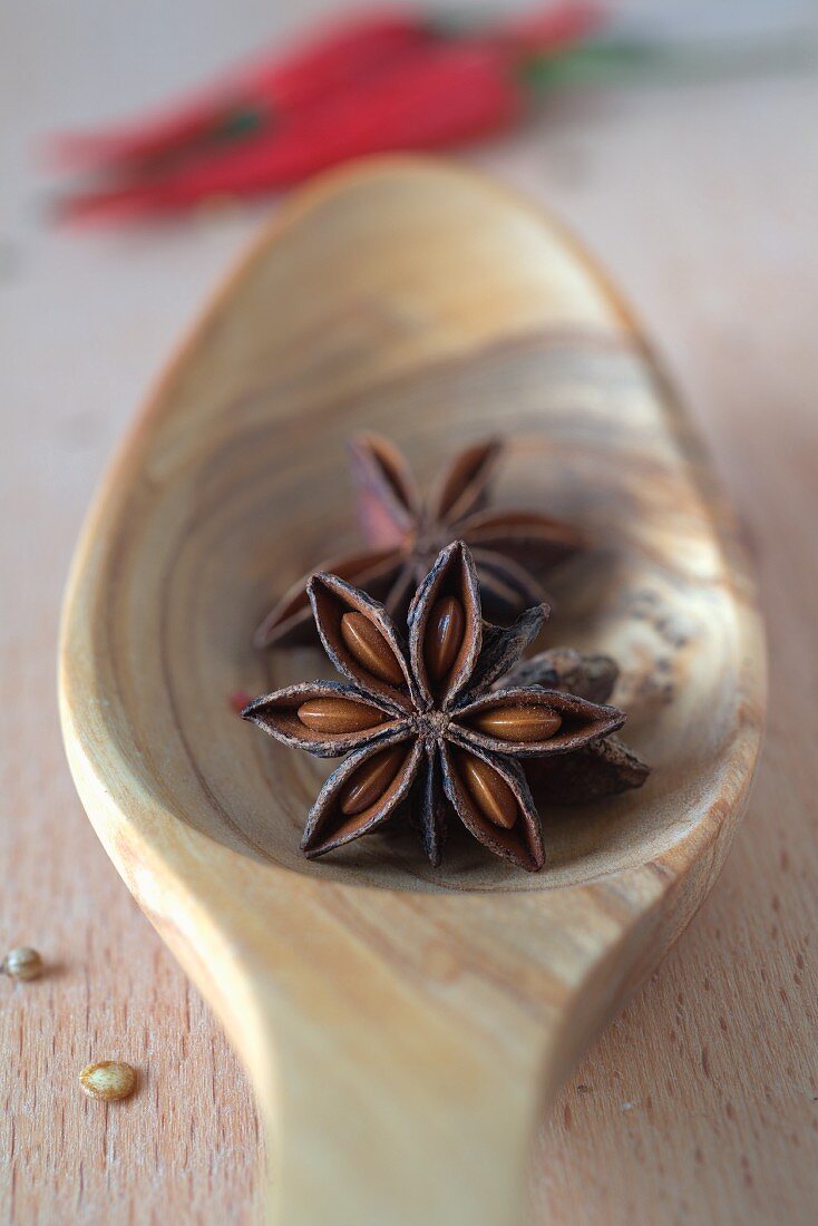 Star anise on a spoon (close-up)