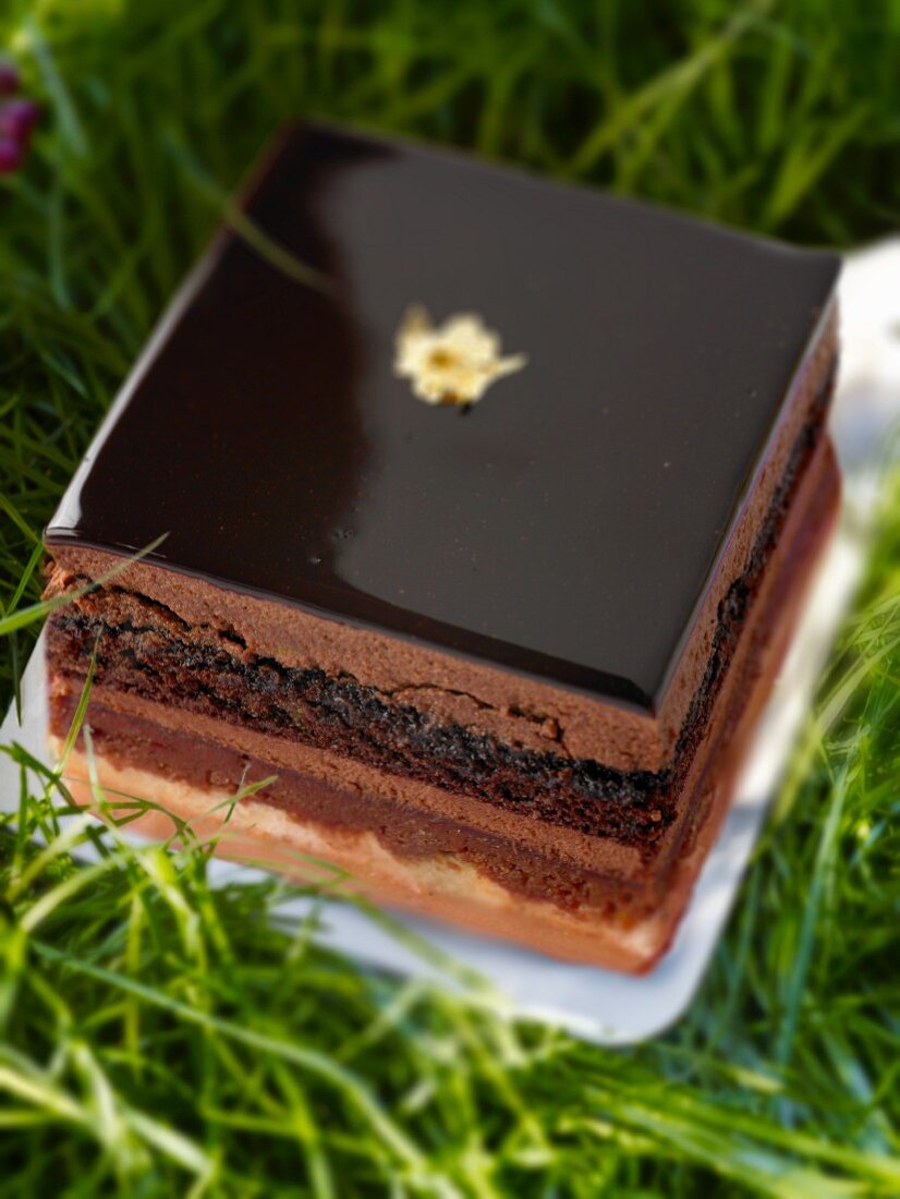 Opera cake (Frence chocolate cake)