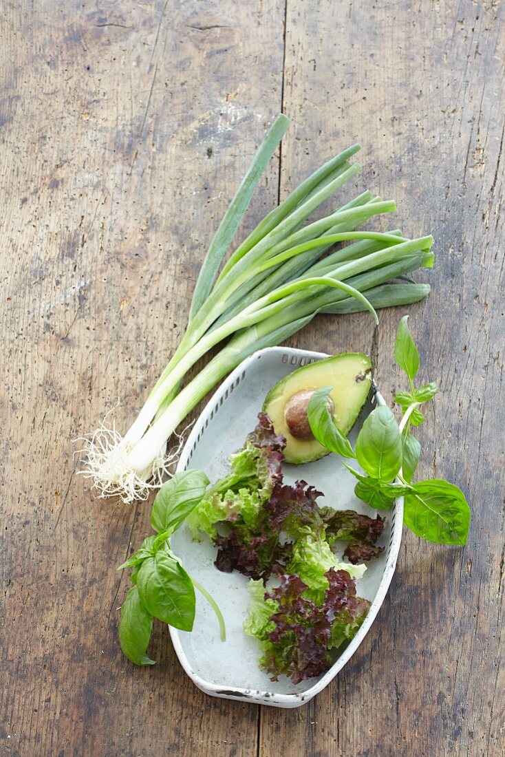 Lettuce, avocado, spring onions and basil