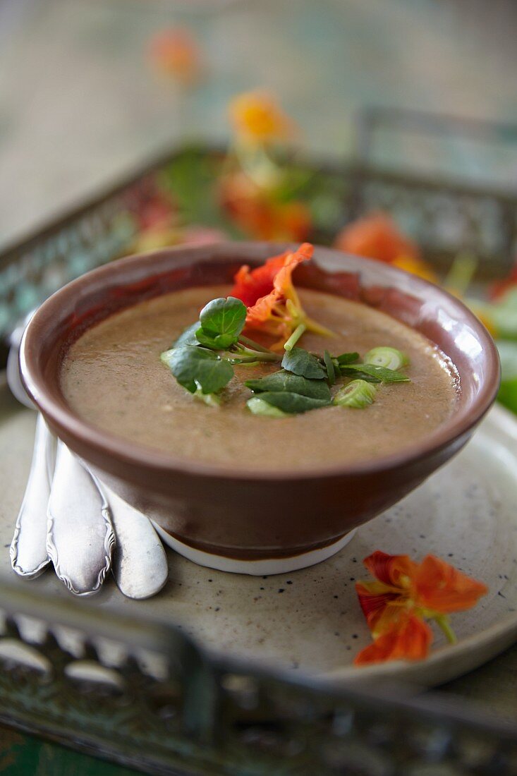 Kalte Melonen-Zucchini-Suppe