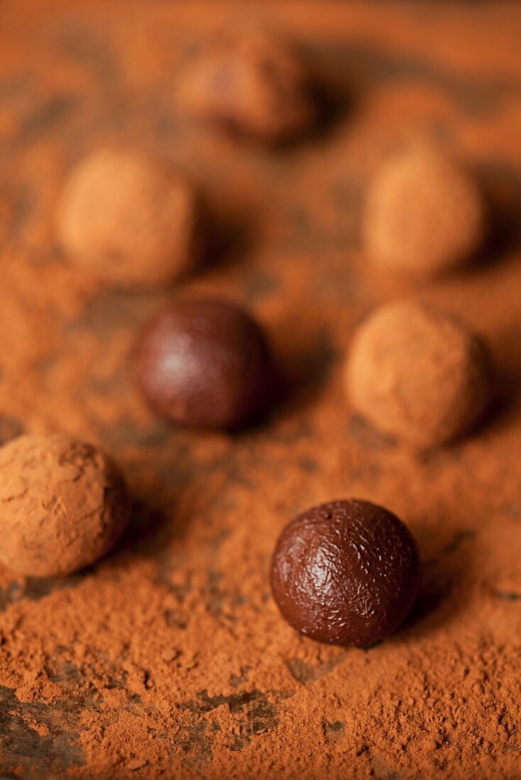 Schokoladentrüffel, gerollt in Kakaopulver