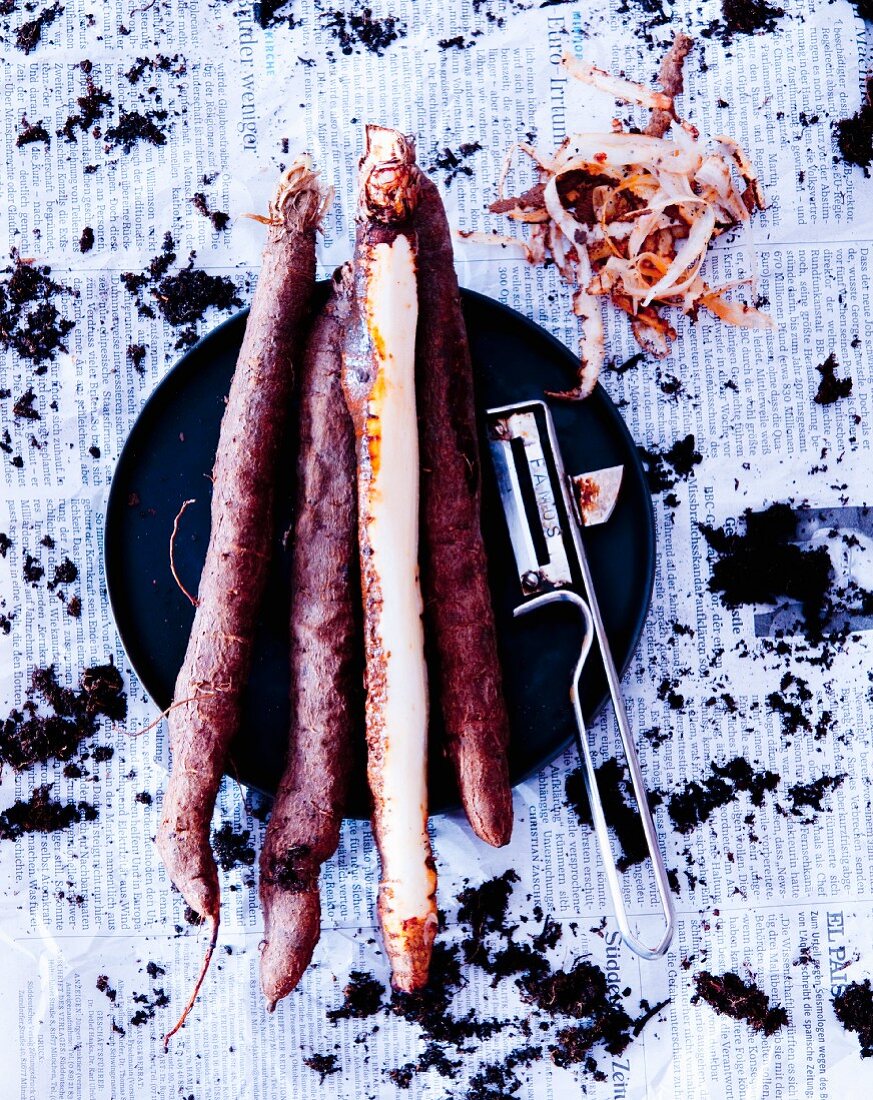 Black salsify, one spear peeled (seen from above)