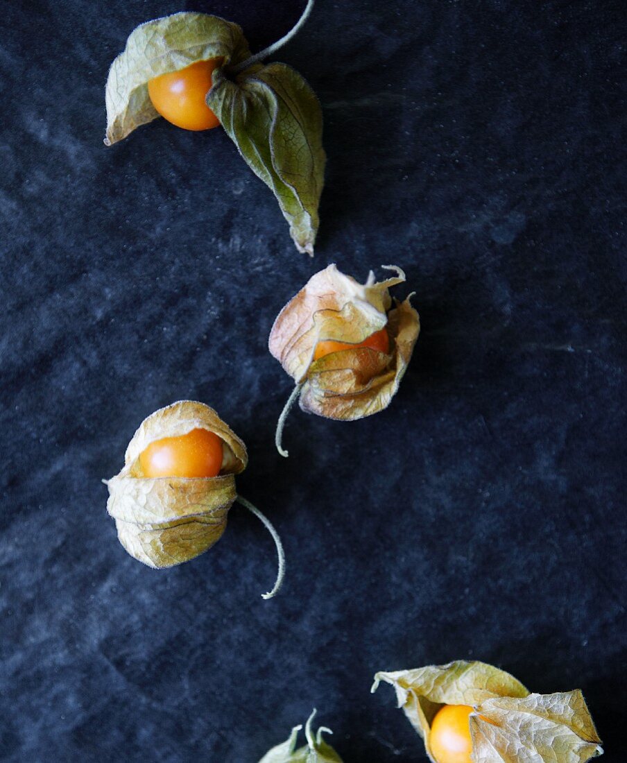 Several physalis