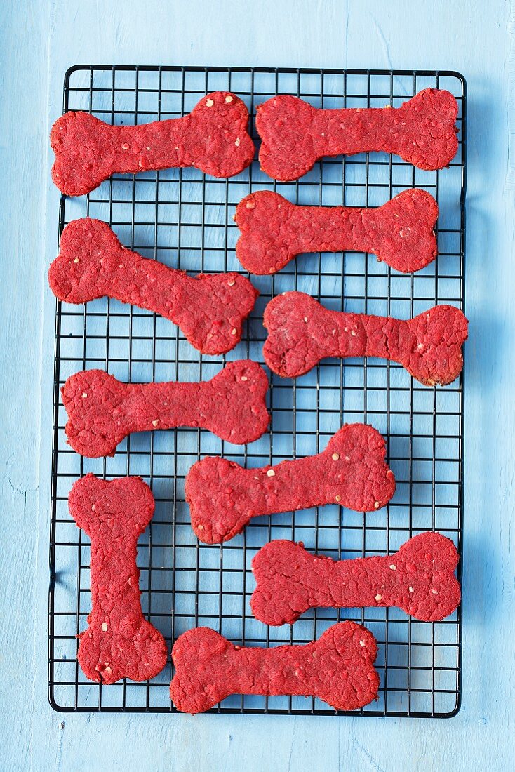 Treats for a dog - bone shape biscuits with beetroot juice, oats and wholemeal flour