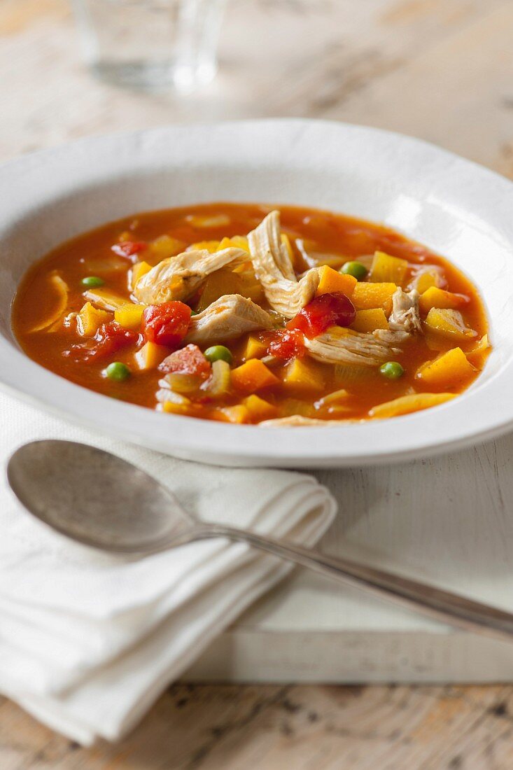 Bowl of Chicken Vegetable Soup