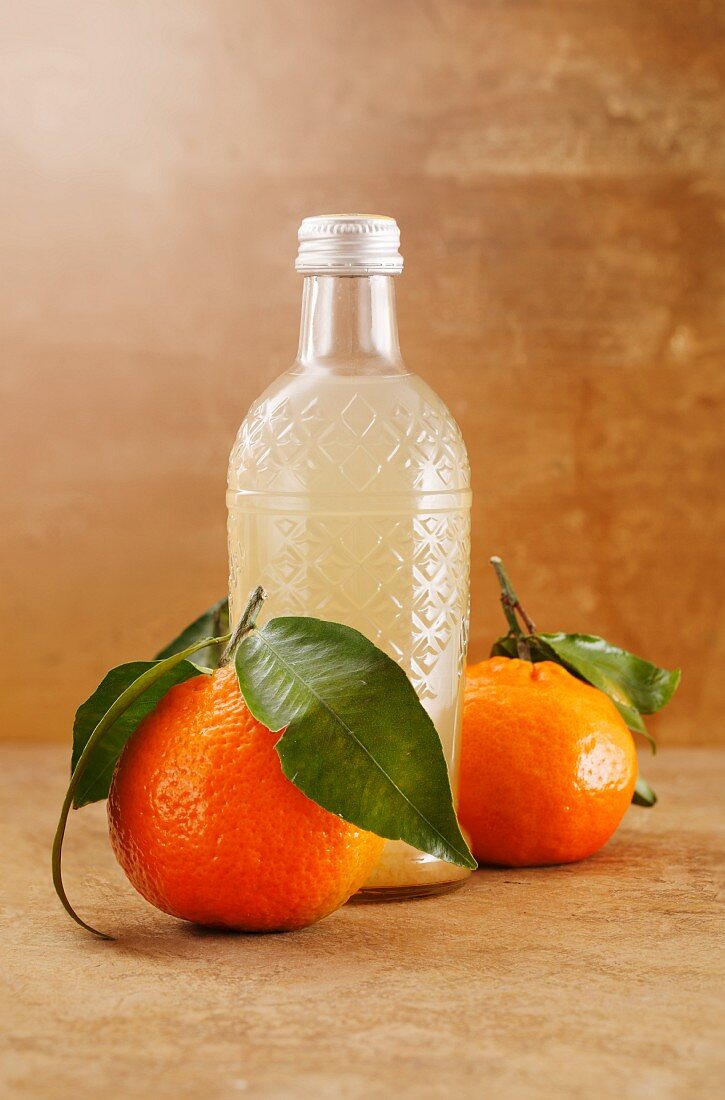 Selbstsgemachte Mandarinenlimonade in Glasflasche