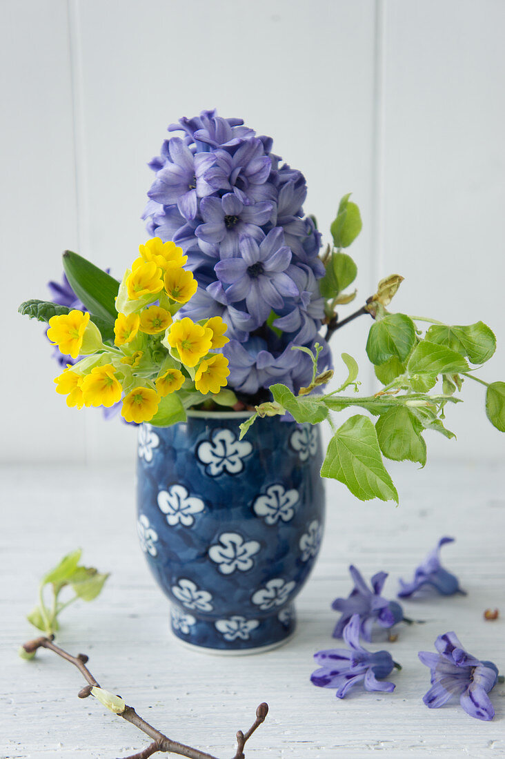 Hyacinths, cowslips and twigs of young lime leaves in vase