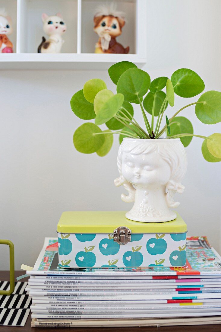 House plant in white china pot shaped like girl's head on top of retro tin and stacked magazines