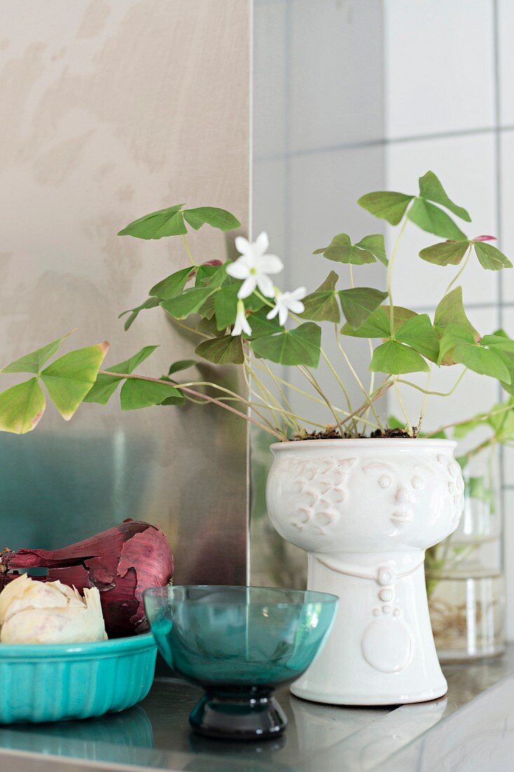 Turquoise glass bowl next to white-flowering lucky shamrock in white china pot