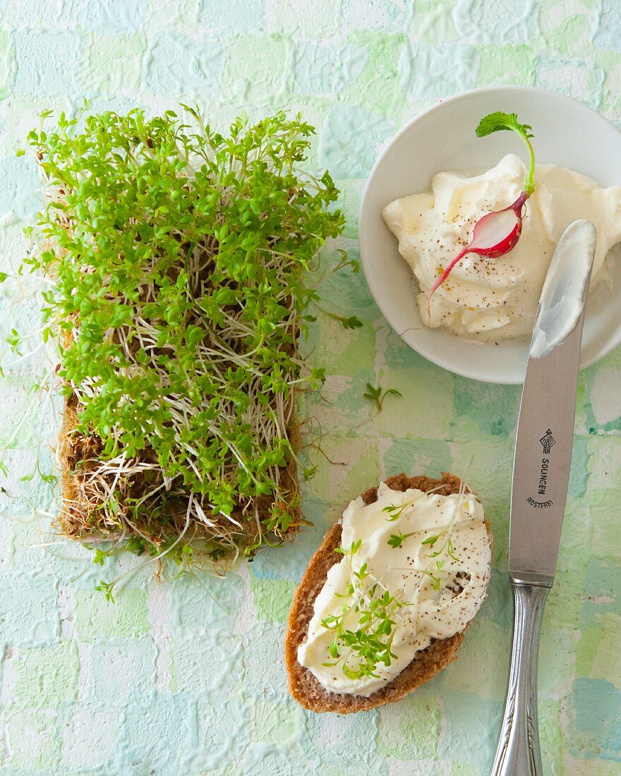 Bread topped with cream cheese and cress (seen from above)
