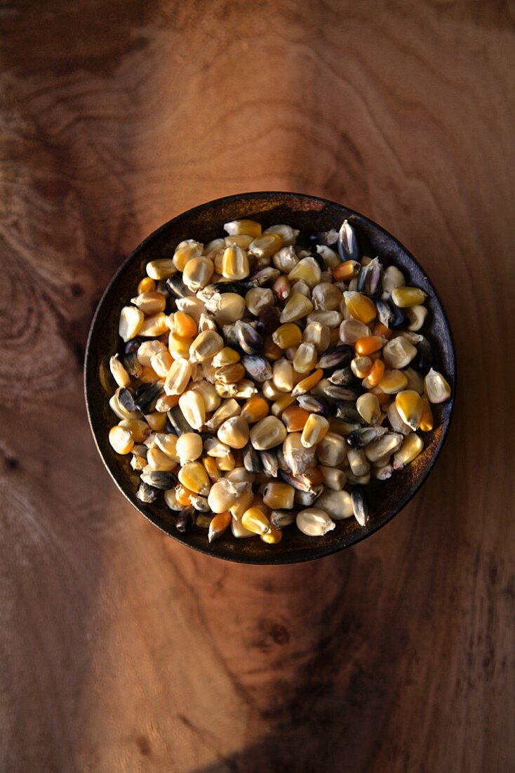 Various types of corn kernels in a bowl