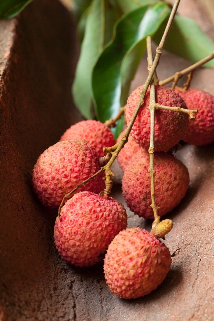 Lychees on a twig