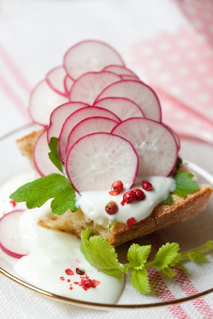 A sliced of bread topped with radishes and quark