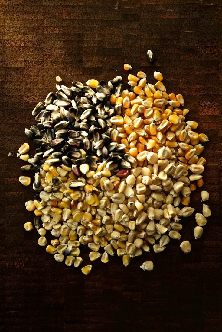 A pile of various corn kernels (seen from above)