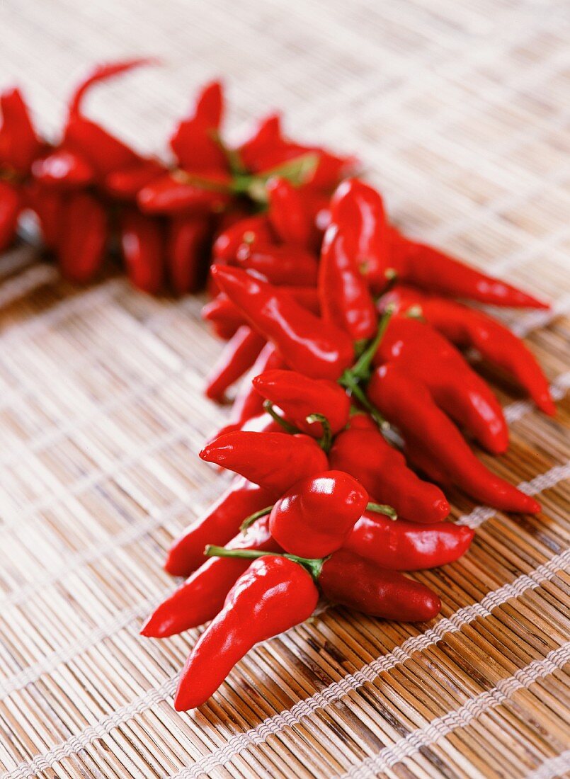 A string of red chilli peppers