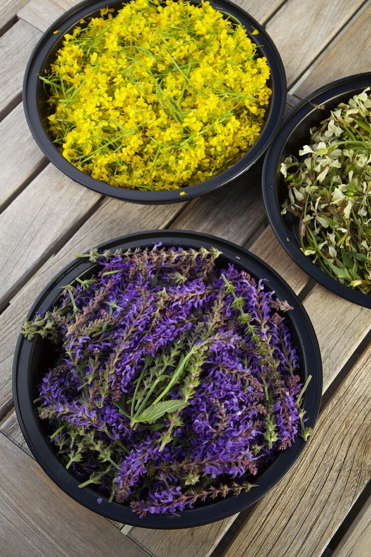 Lavender flowers in a dish