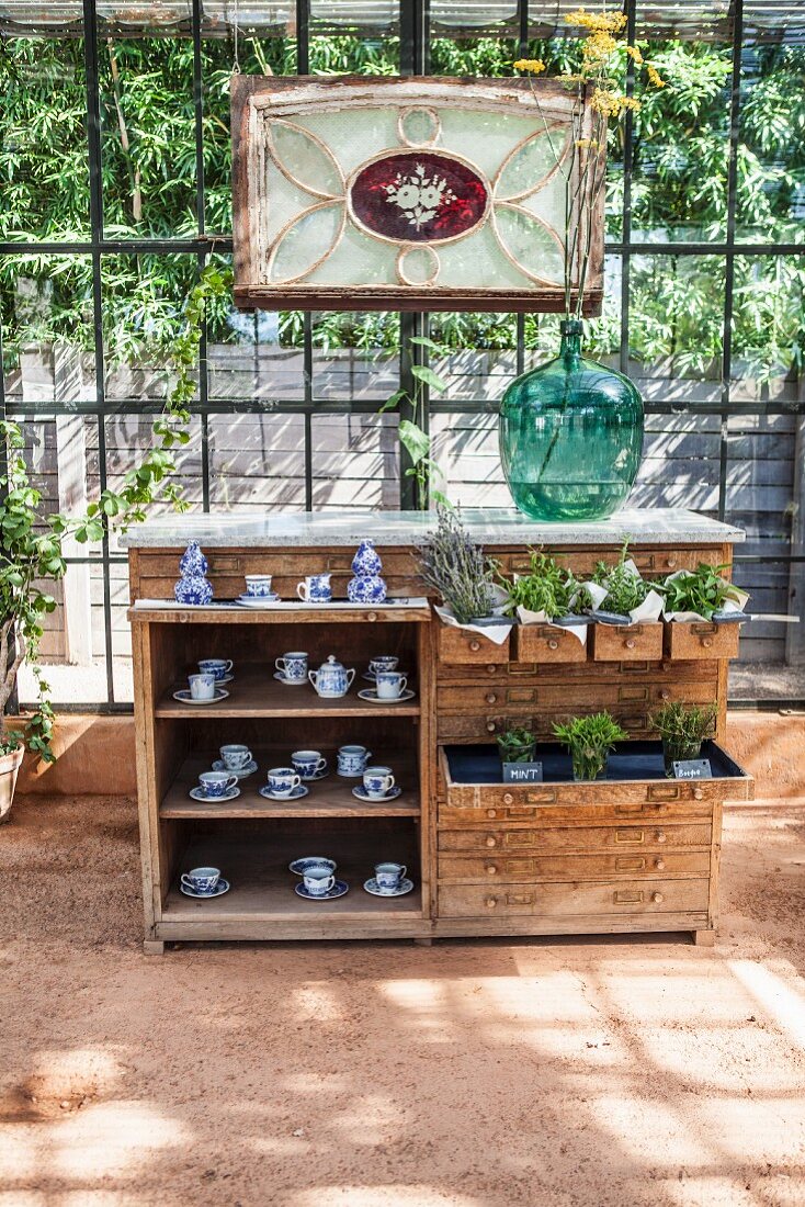 Plants and china crockery on and in antique chest of drawers in sunny greenhouse