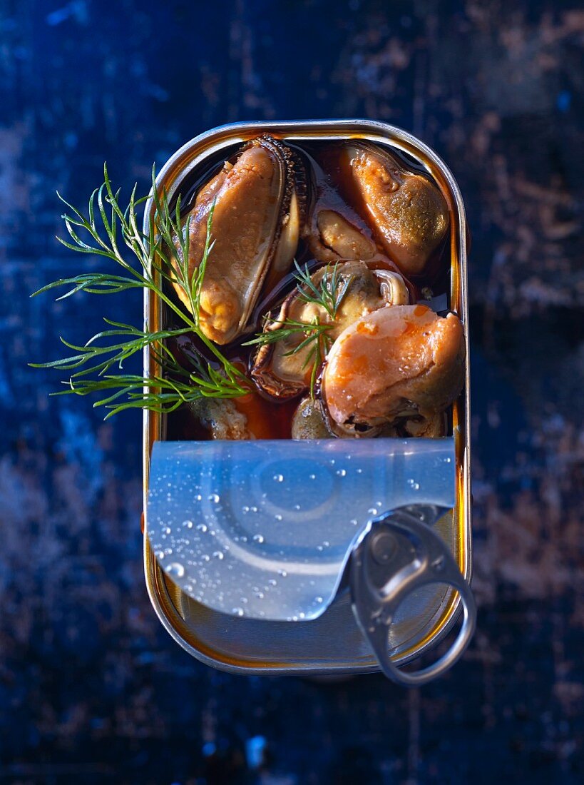 Mussels marinated with dill in a tin (seen from above)
