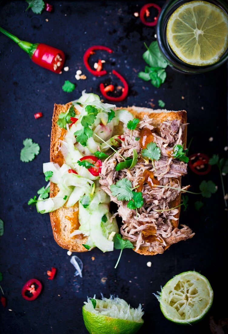 Pulled pork with cucumber, chillis and coriander on toast