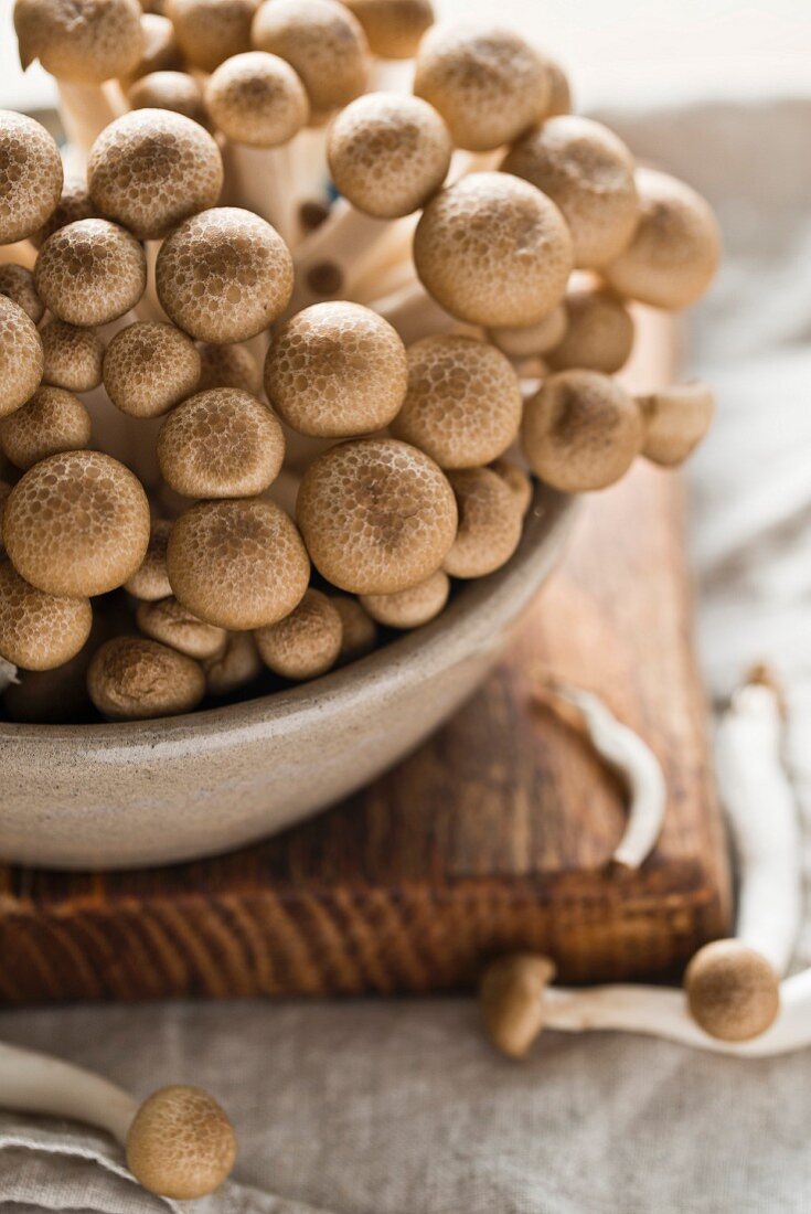 Fresh shimeji mushrooms in a ceramic bowl on a chopping board (close-up)