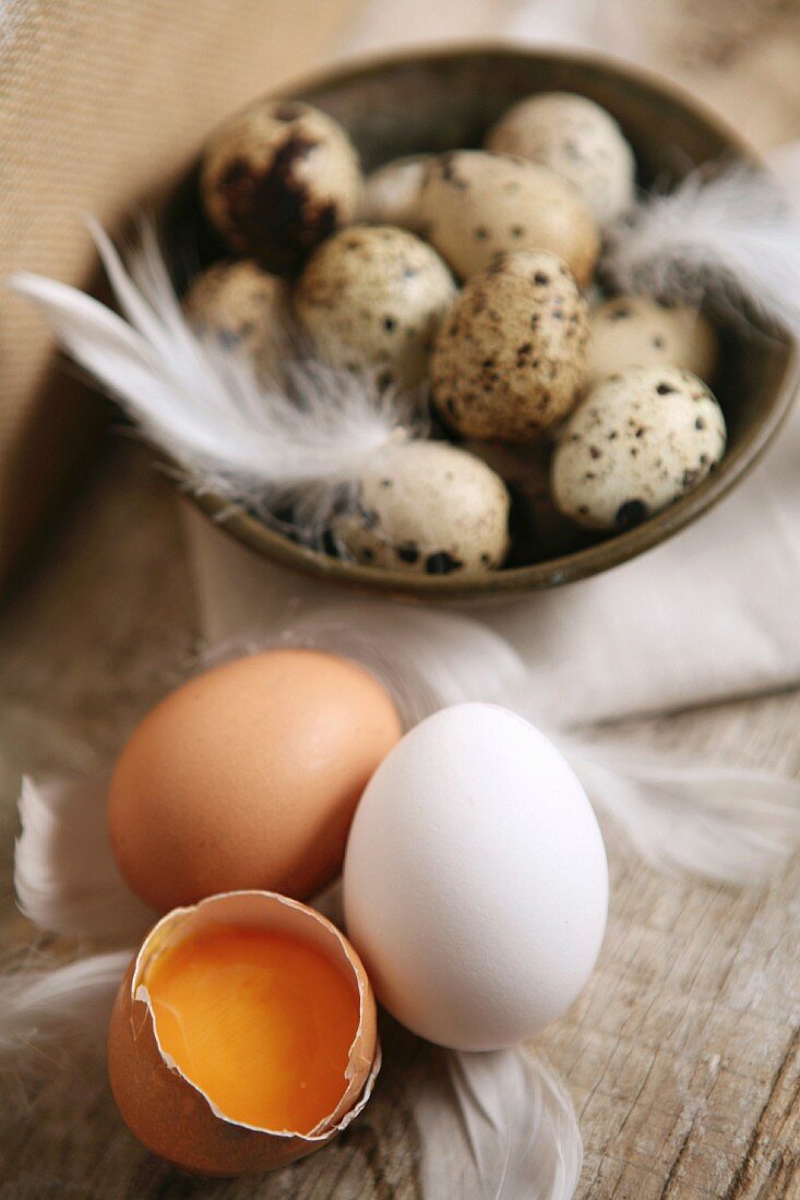 Hens' eggs, quail's eggs and feathers