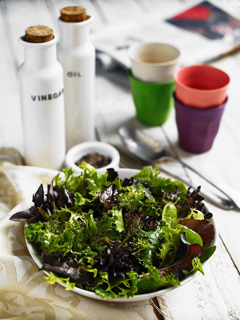 Grüner Salat aus verschiedenen Blattsalaten