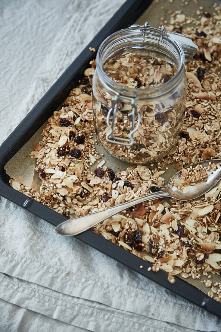 Muesli with coconut, cranberries, oats, almonds and puffed amaranth on a baking tray