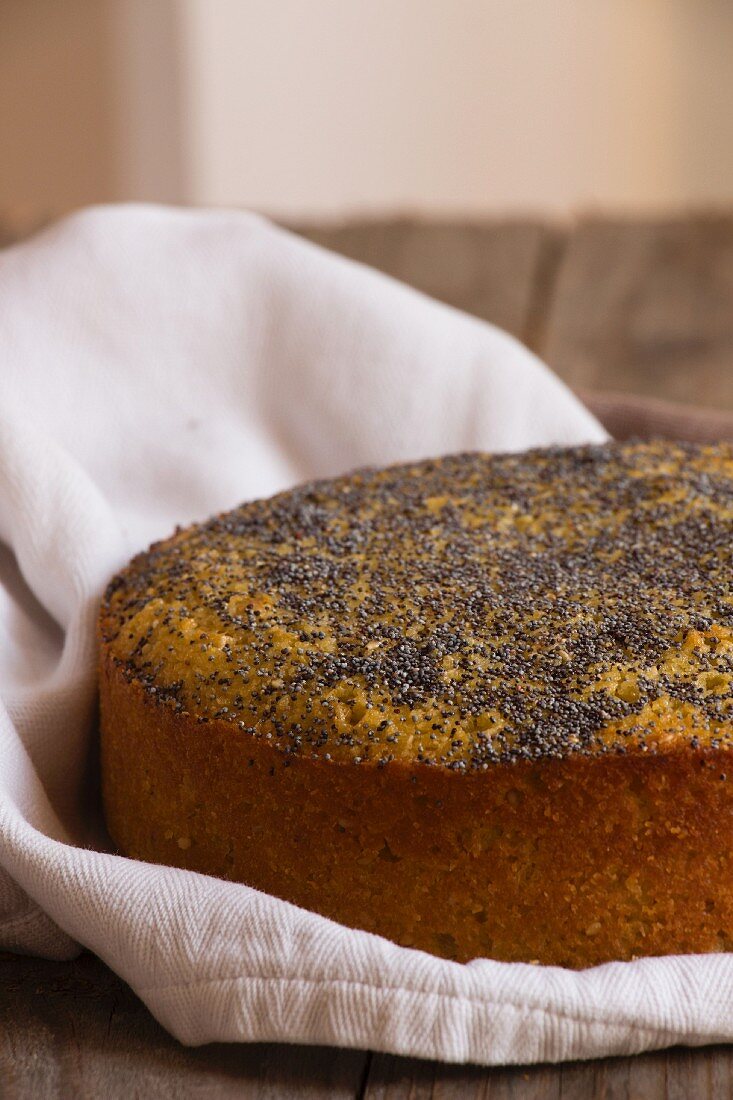 Tahini-Kuchen mit Mohn