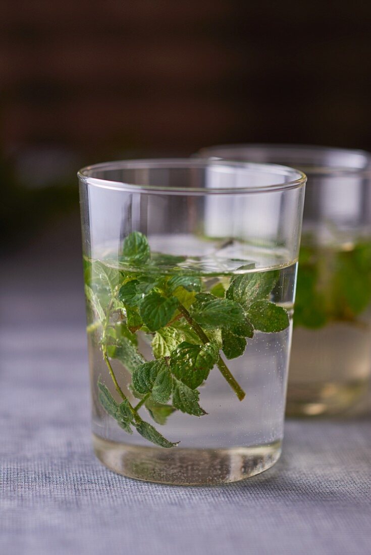 A glass of water with fresh mint