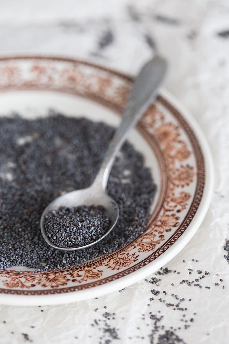 Blue poppyseeds on a plate with a spoon