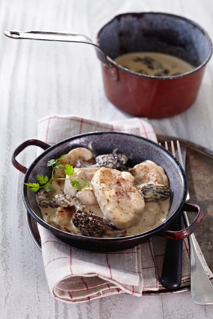 Veal sweetbreads in a morel mushroom sauce