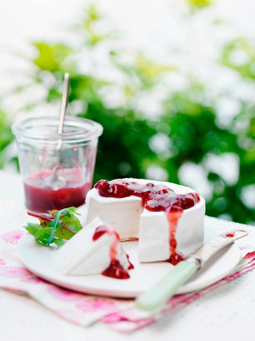 Goat's cheese with cherry sauce on a garden table