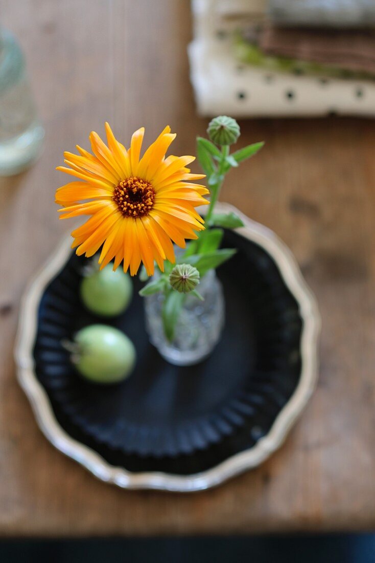 Top view of yellow pot marigold in glass vase on shabby-chic wooden table