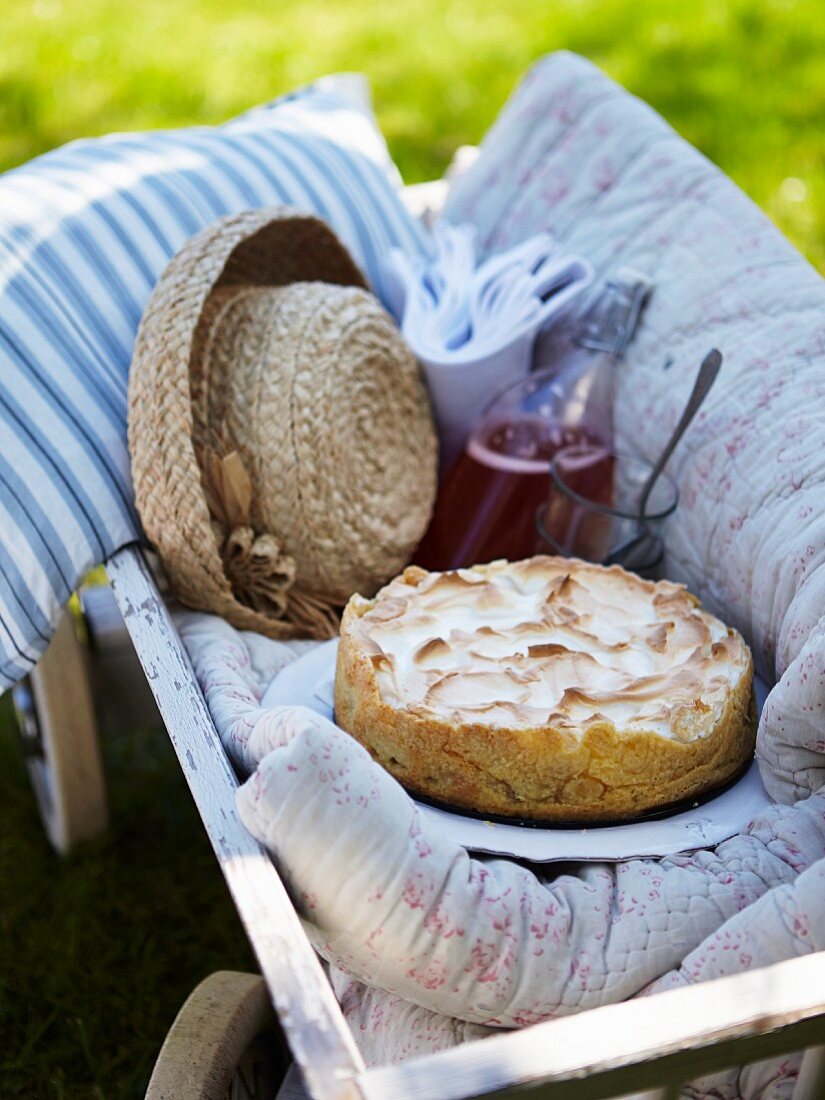 Meringue cake with rhubarb and raspberry juice on a handcart in a summer garden