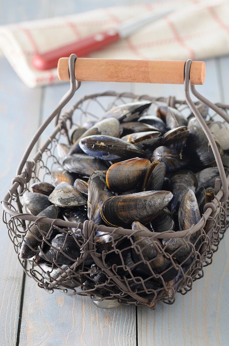 Mussels in a wire basket