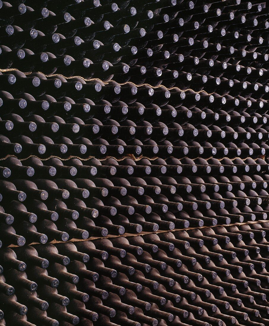 Chianti-Rufina-Flaschen im Keller von Selvapiana, Toskana