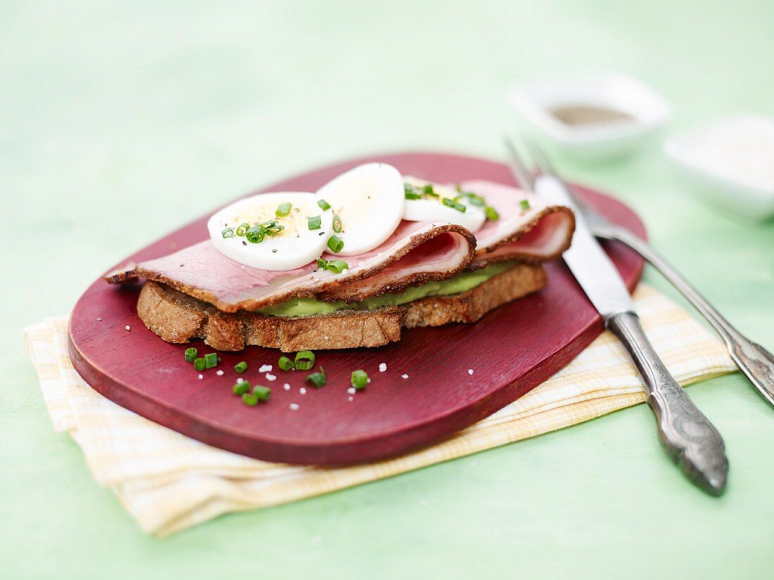 A guacamole sandwich with roast beef