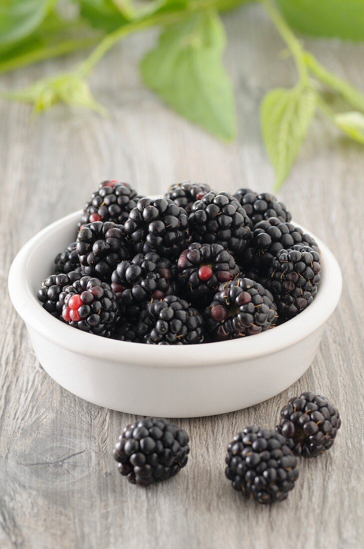 Blackberries in small bowl