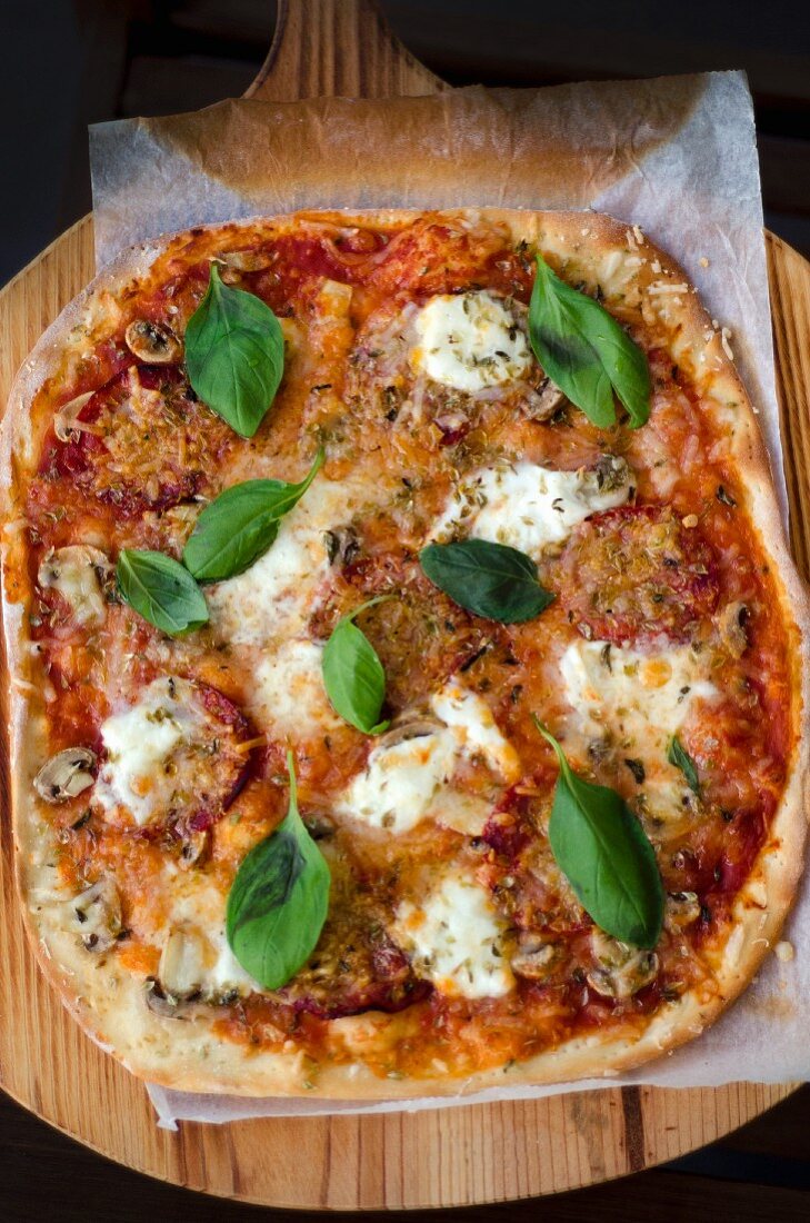 A pizza with tomatoes, mushrooms, mozzarella and basil