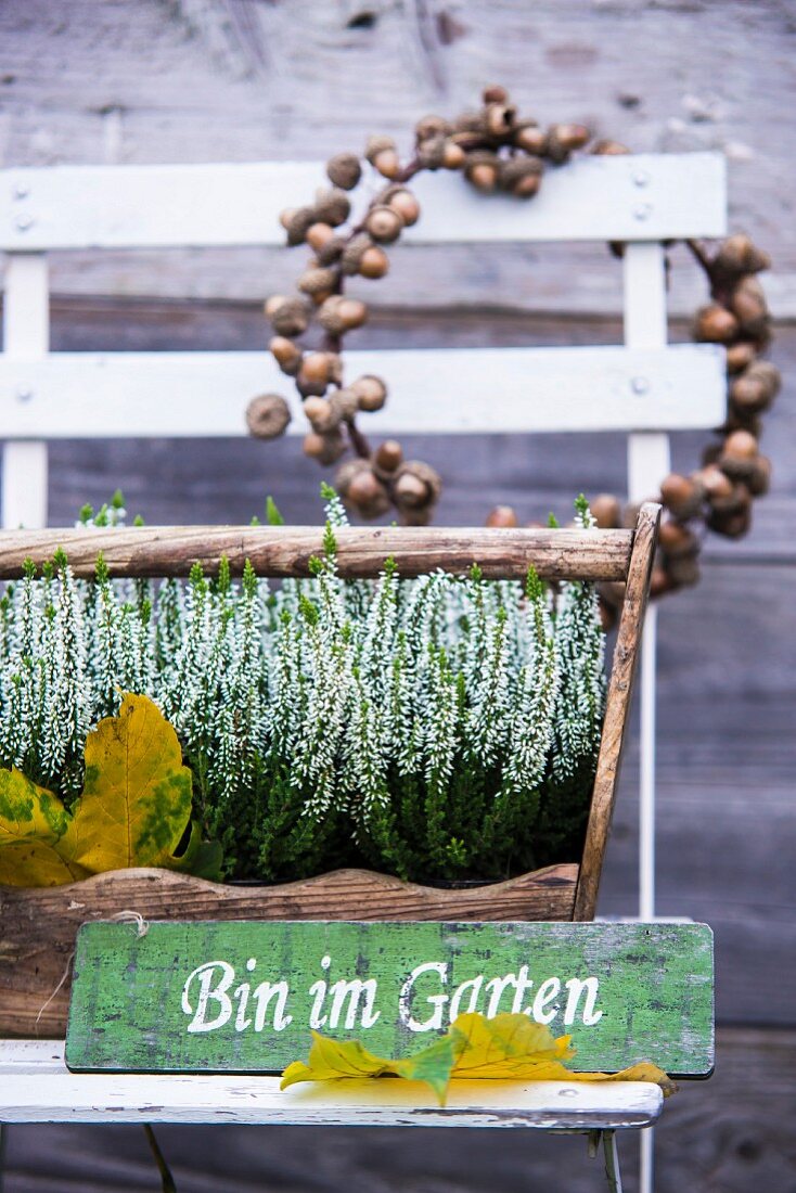 Wreath of acorns, sign and wooden crate of heather on garden chair