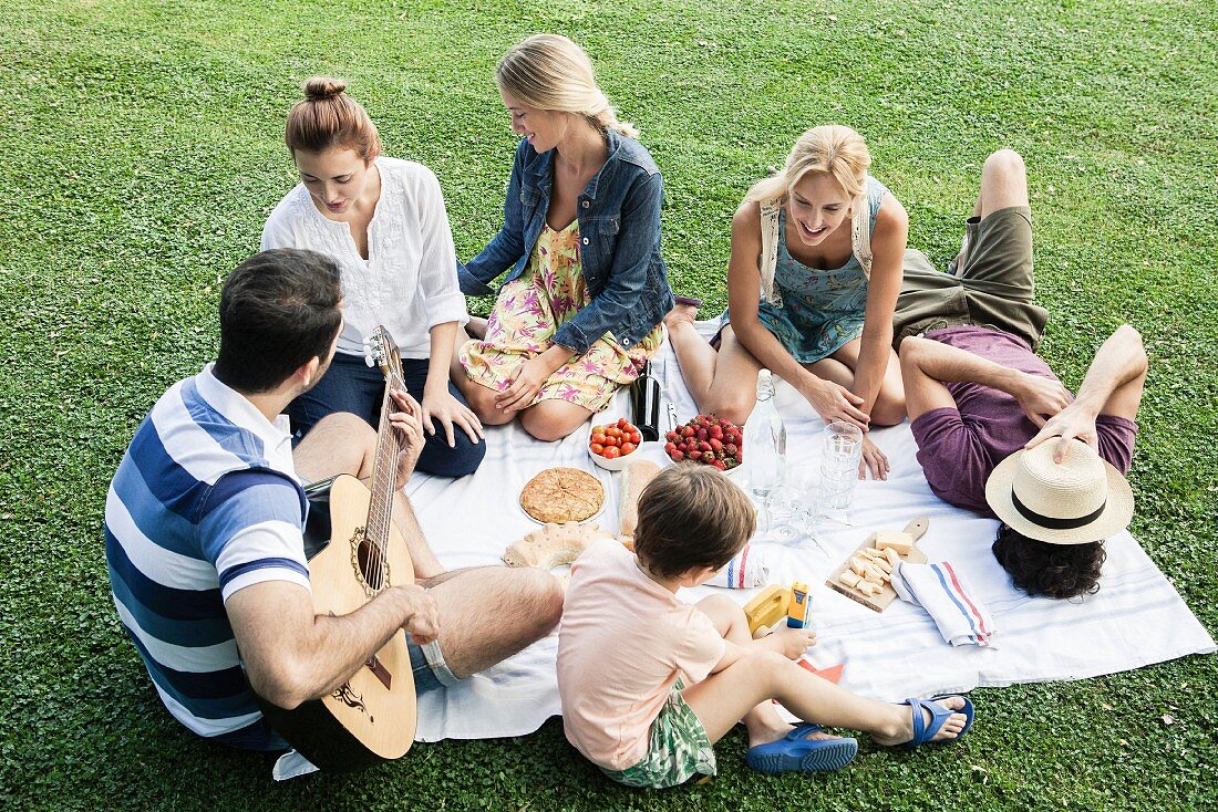 A summer picnic in a park with family and friends