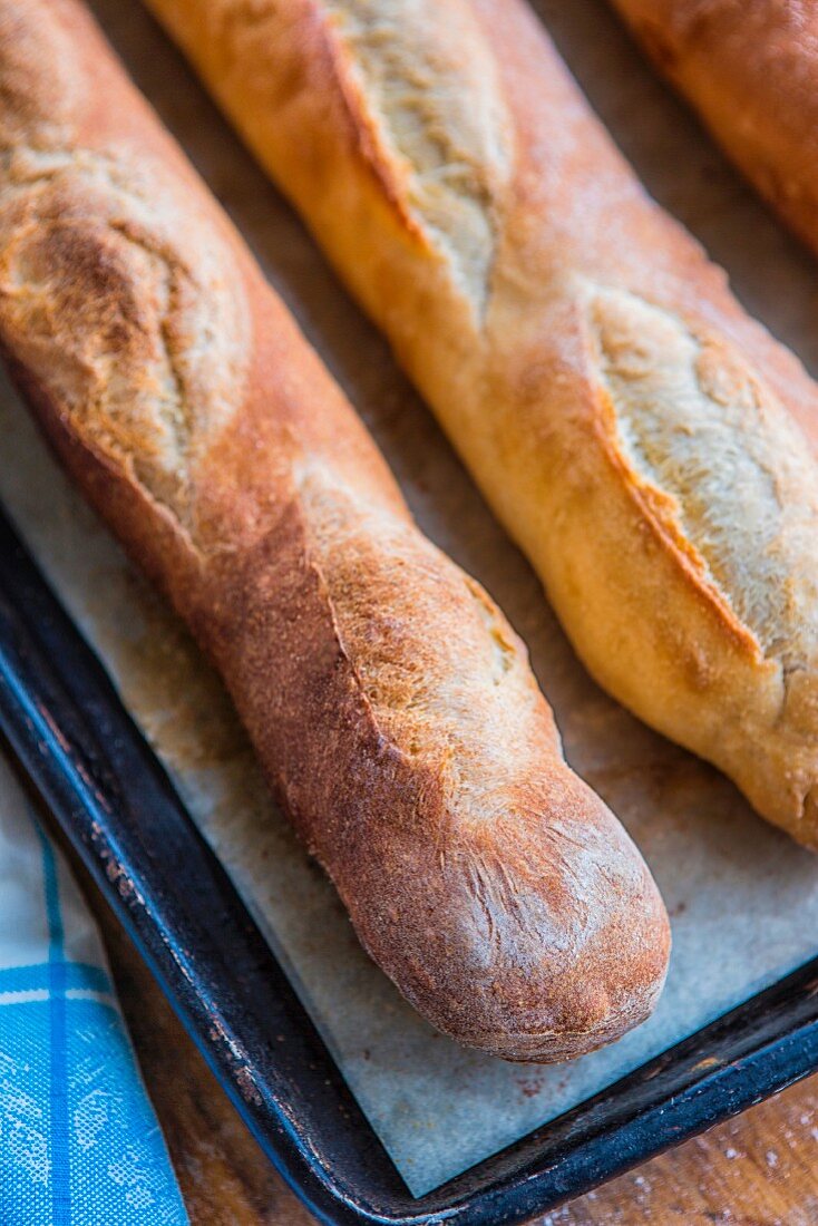 Freshly baked baguettes on a baking tray