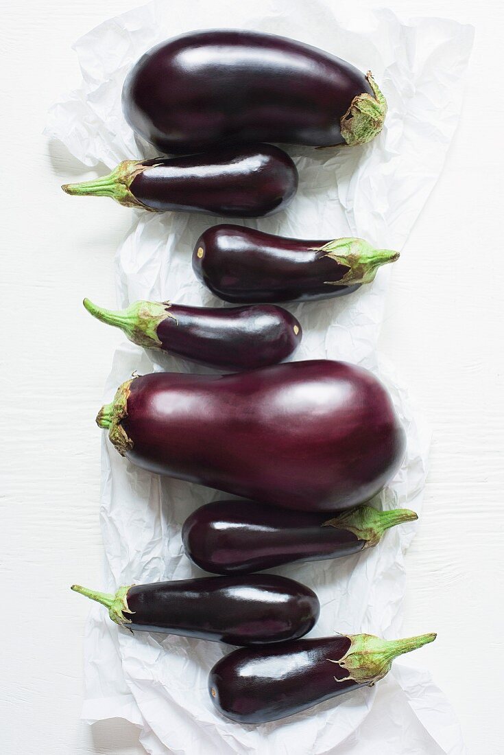 Various different sizes of aubergines