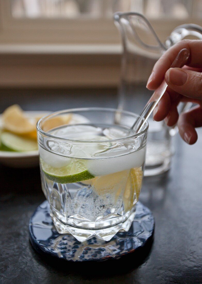 A vodka cocktail with soda water, lemon and lime slices and ice cubes