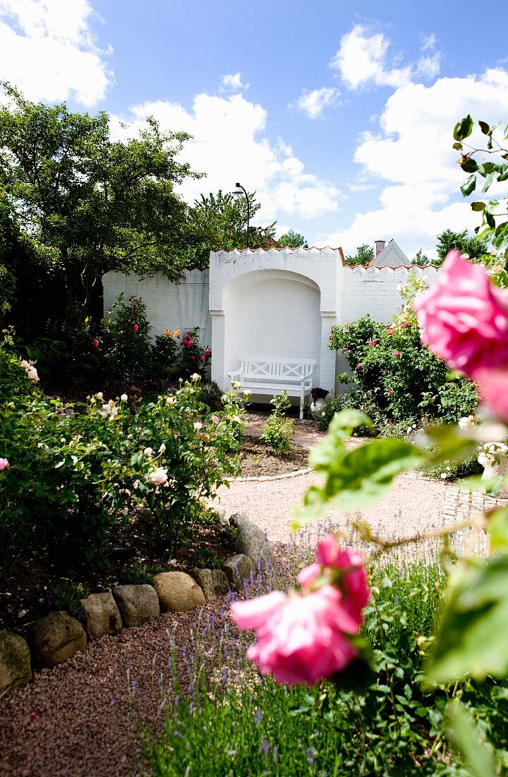 Gravel path leading between rose beds to white wooden bench in arched niche in white garden wall